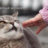 смешно про маникюр